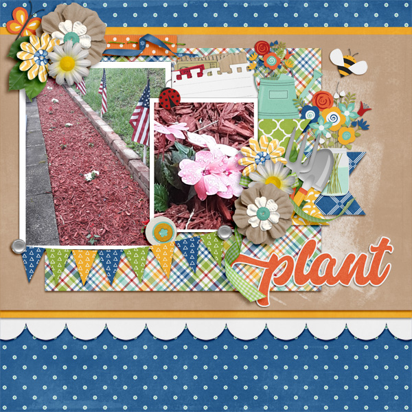 Plant