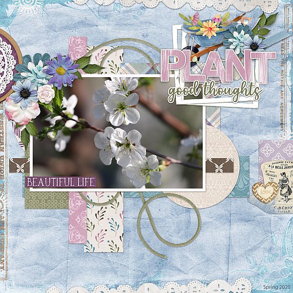 Plant