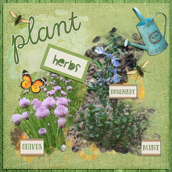 Plant