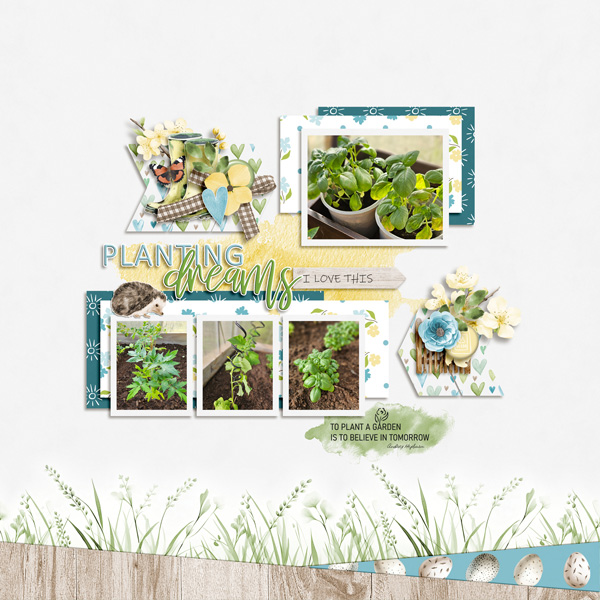 Planting Dreams