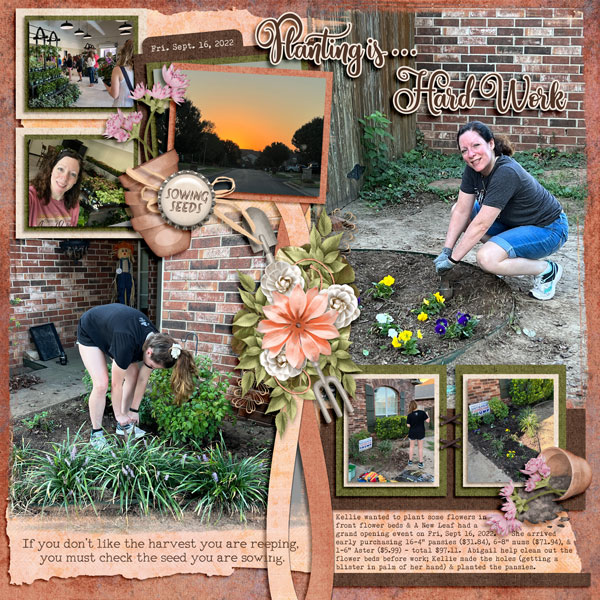 Planting Flowers - 9.16.2022