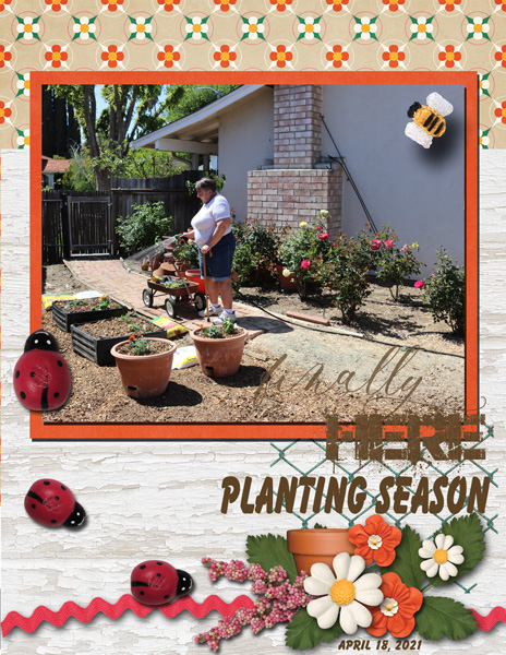 Planting Season