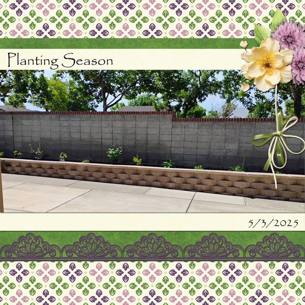 Planting Season