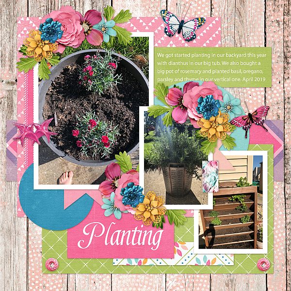 Planting