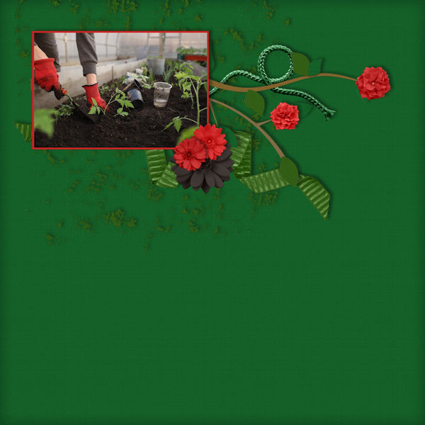Planting