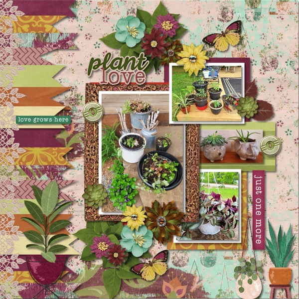 Plants Galore