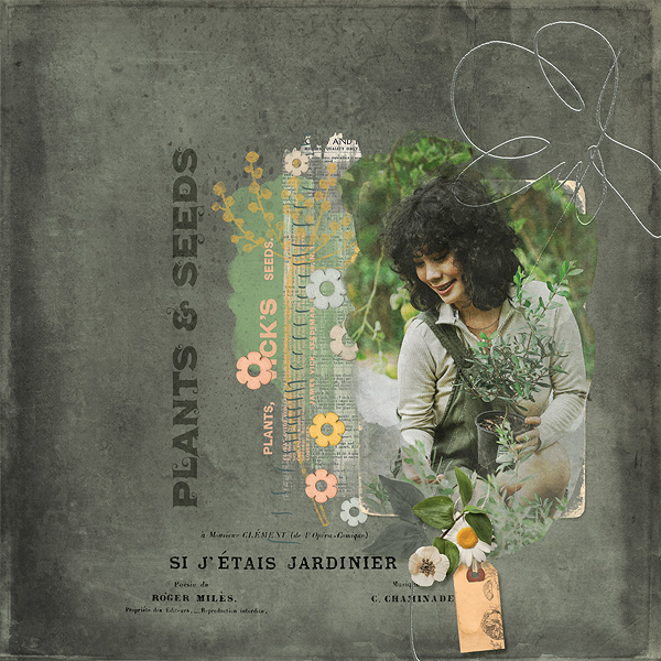 plants + seeds