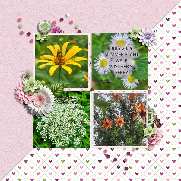 PLANTS-TEMP3-8-25-WEB.jpg