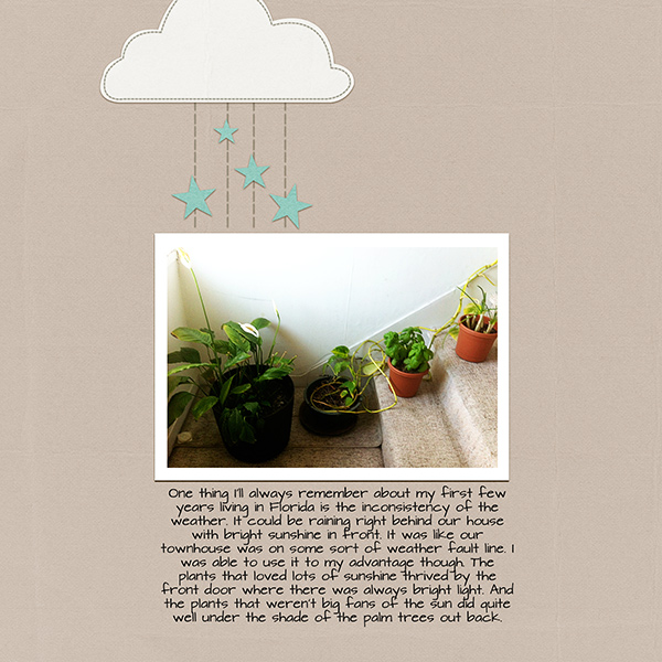 Plants