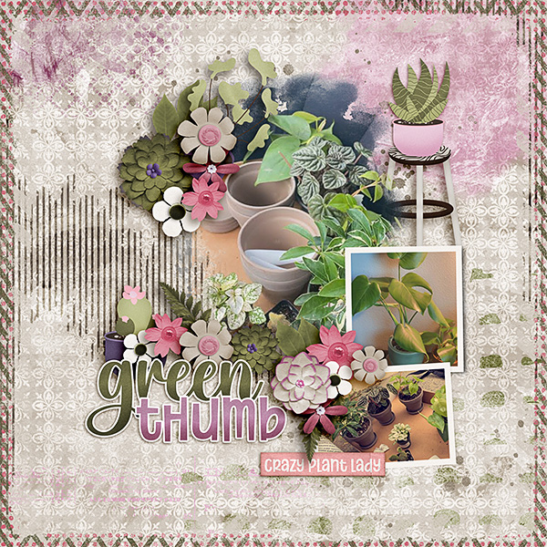 Plants