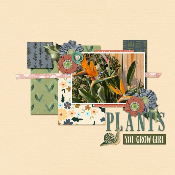 Plants