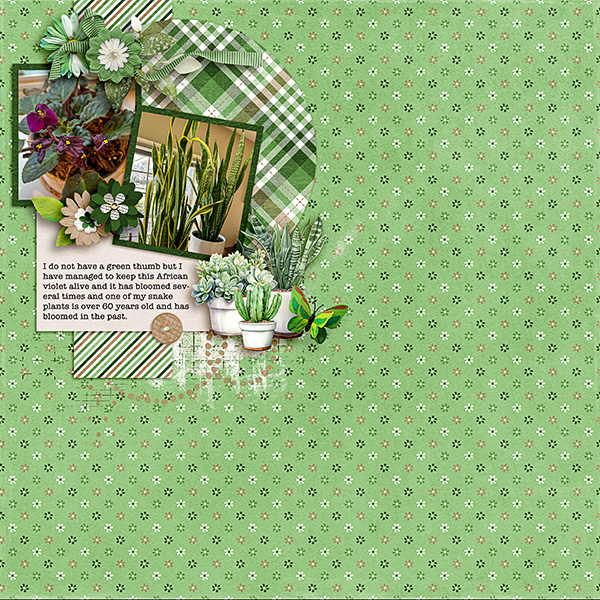 Plants