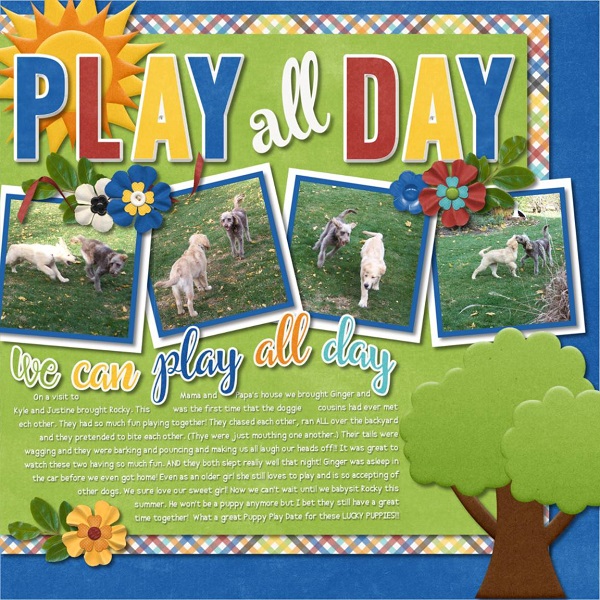 Play all Day