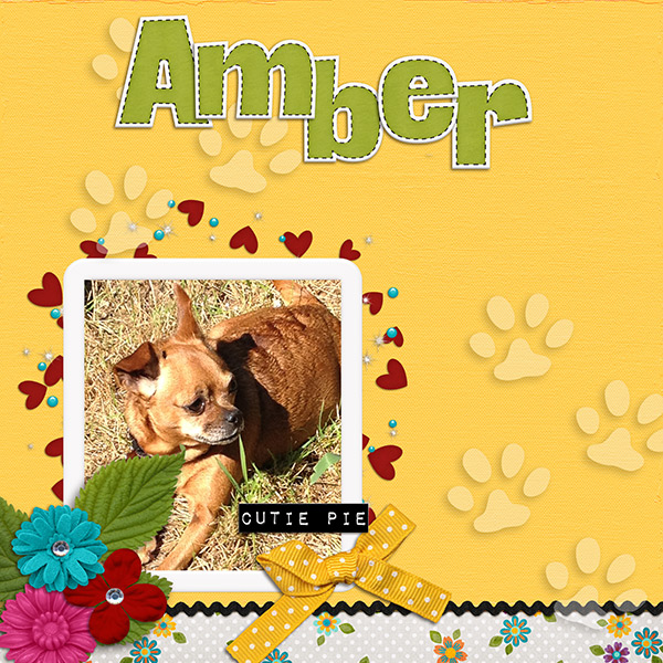 Play Fetch{Amber}