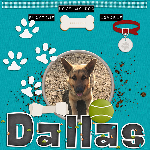 Play Fetch{Dallas}