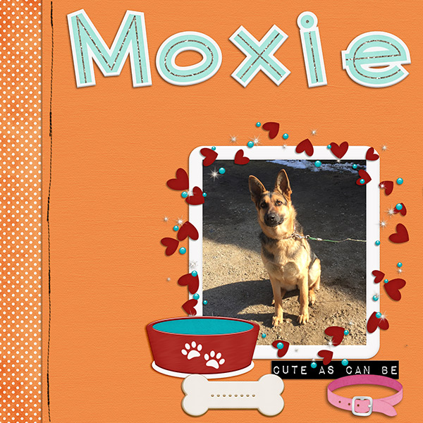Play Fetch{Moxie}
