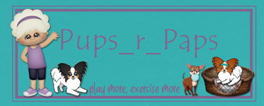 Play More Exercise More Siggy