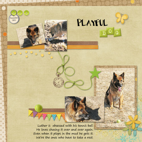 Playful Dog