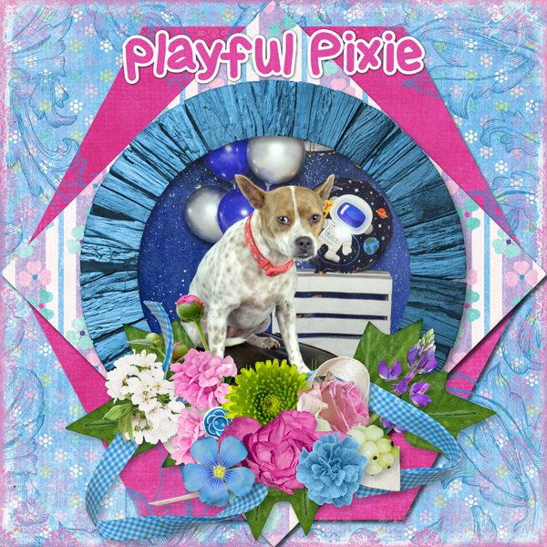 Playful Pixie