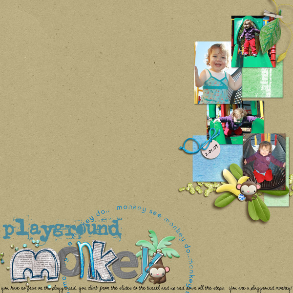 Playground Monkey