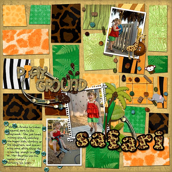 Playground Safari