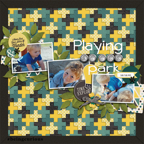 Playing at the Park