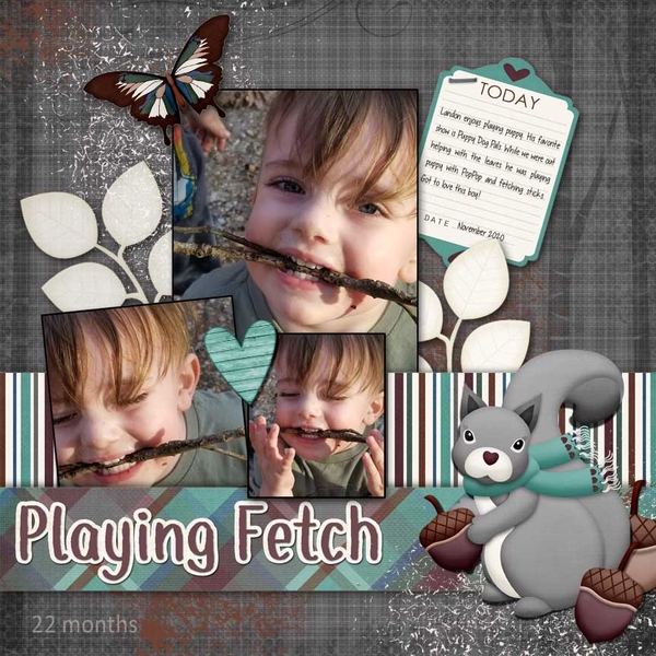 Playing Fetch
