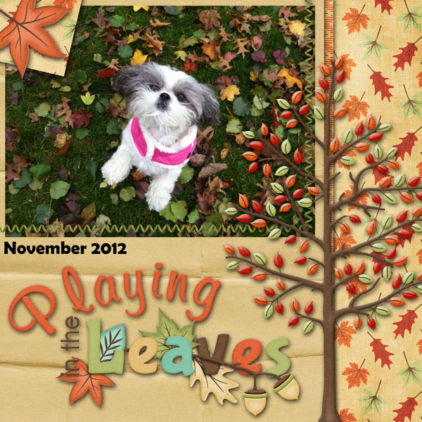 Playing in the leaves