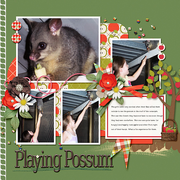 Playing Possum