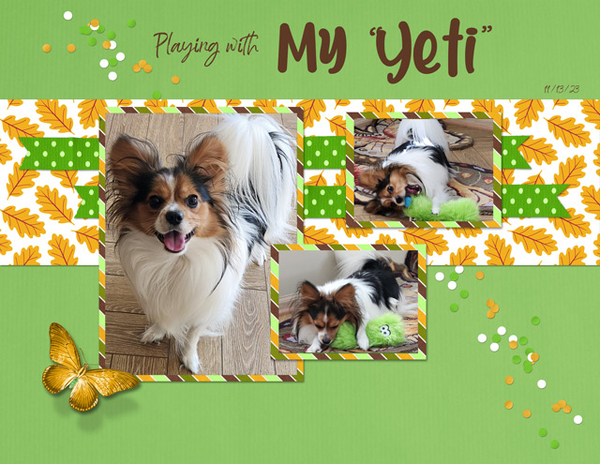 Playing with My Yeti