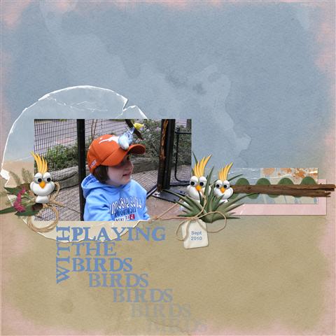 Playing with the Birds