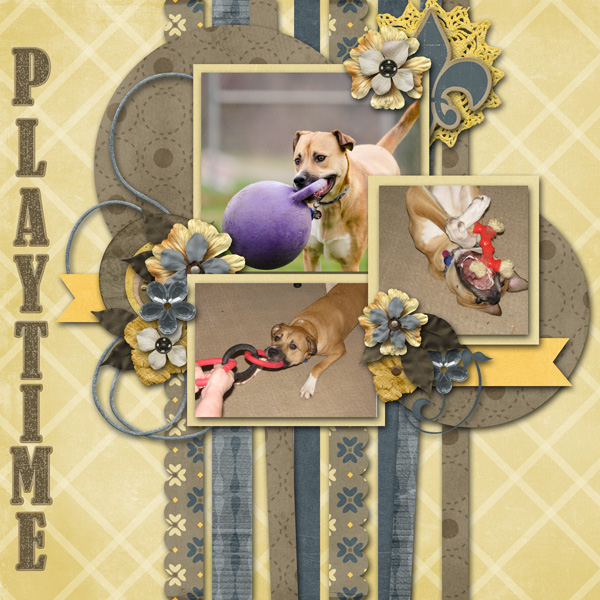 Playtime for Sammy