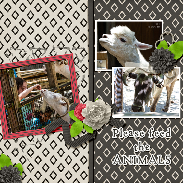 Please Feed the Animals