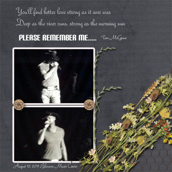 Please Remember Me