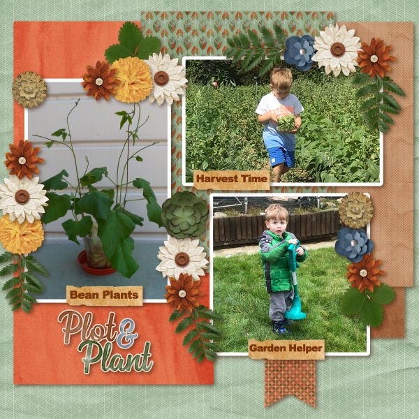 Plot and Plant