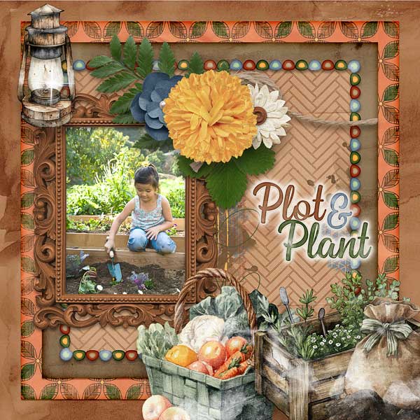 Plot And Plant