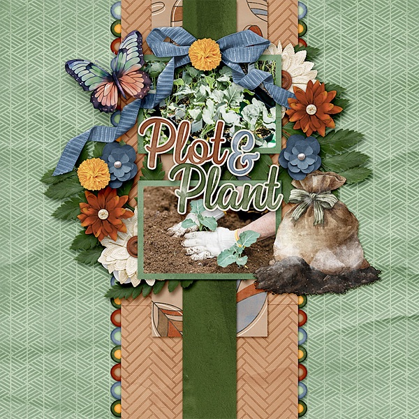 Plot & Plant