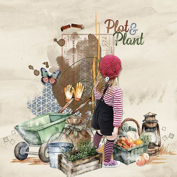 Plot & Plant