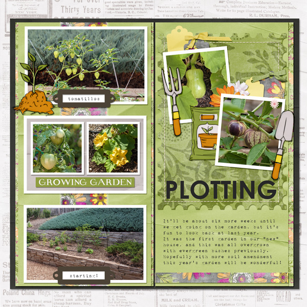Plotting the garden