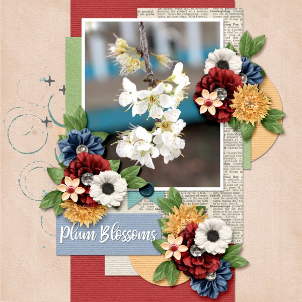 Plum Blossoms