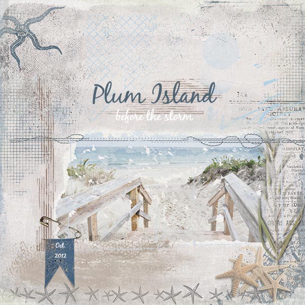 Plum Island