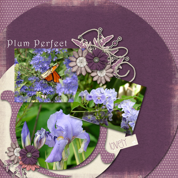 Plum Perfect