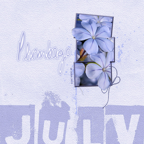 Plumbago