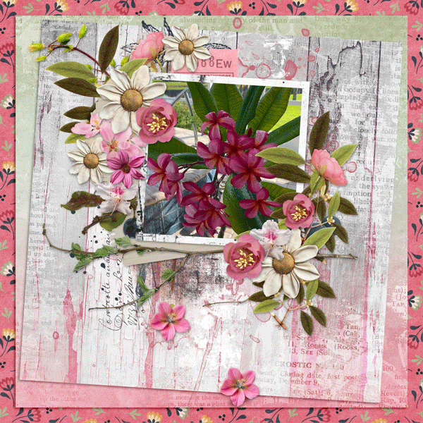 Plumeria-cwd-2025-Mar-temp.gif