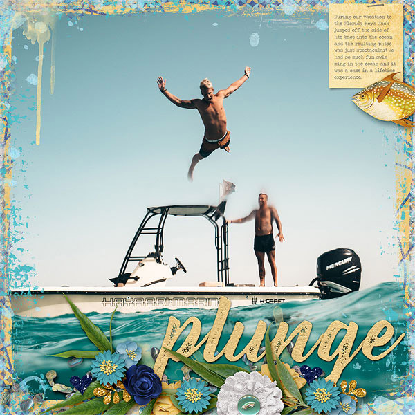Plunge