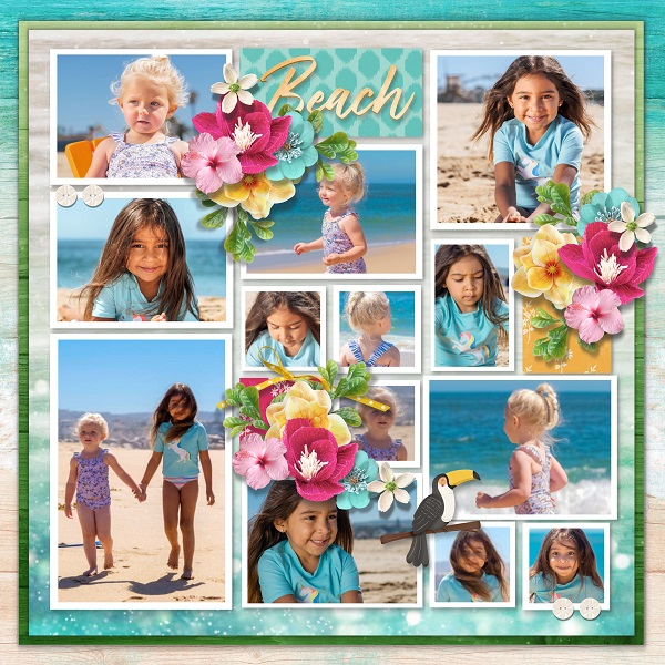 Pocket album 13