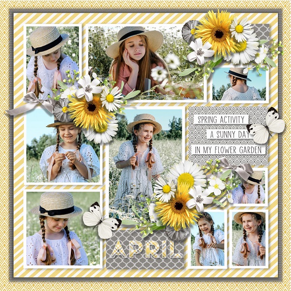Pocket album 16