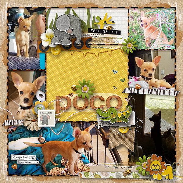 Poco Collage