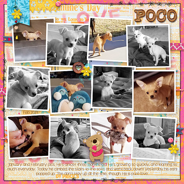 Poco pics