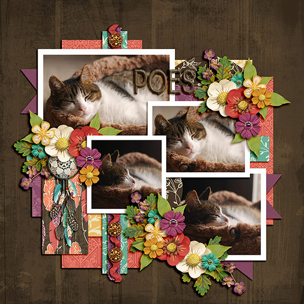 Poes